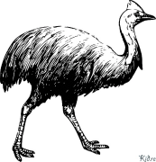 emus ਛਪਣਯੋਗ ਰੰਗਦਾਰ ਪੰਨੇ